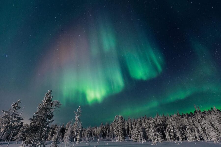 Rovaniemi: Aurora Hunting Tour in the Forest with Hot Drinks - Getting warm: thermal overalls, boots, wool socks, and gloves