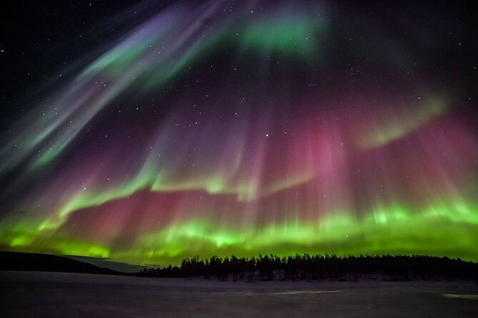 Rovaniemi Aurora Hunting Tour - Where the Guide Takes You to Find the Best Chances