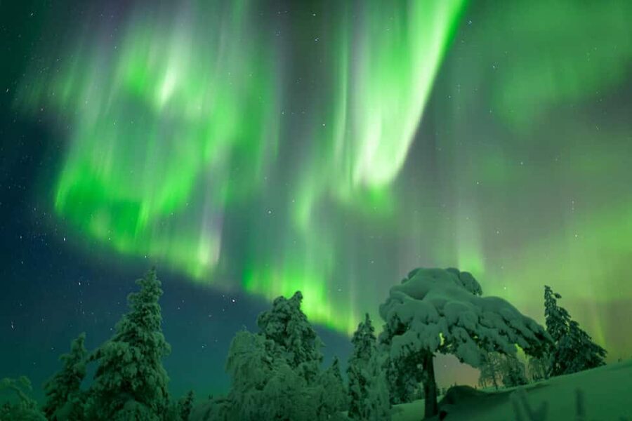 Rovaniemi: Auroras Northern Lights Trip - guaranteed lights - The 5-hour flow: pickup, wilderness driving, and the main viewing stop