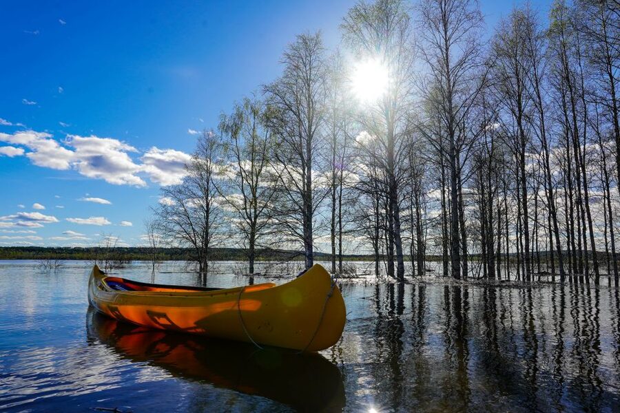 Rovaniemi: Authentic Reindeer Farm & Canoeing - Included Value: What $152 Buys You in Real Terms
