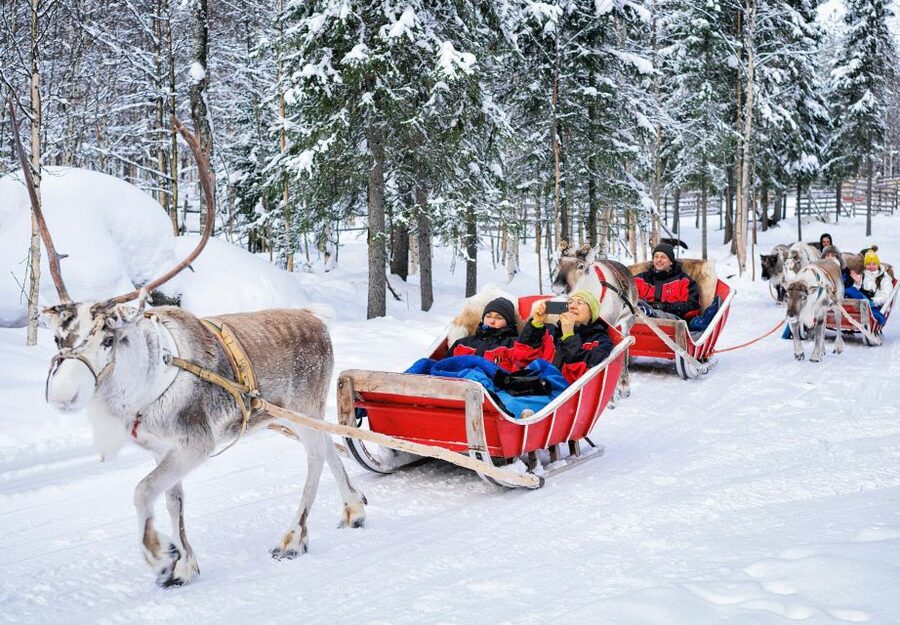Rovaniemi: Authentic Reindeer Farm Visit & Short Sleigh Ride - Getting There: Pickup, Transport, and How the 2.5 Hours Unfold