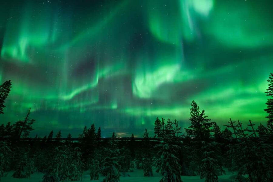 Rovaniemi: Best & Original Aurora Experience with Pro Photos - Camera coaching that actually helps, phone or DSLR