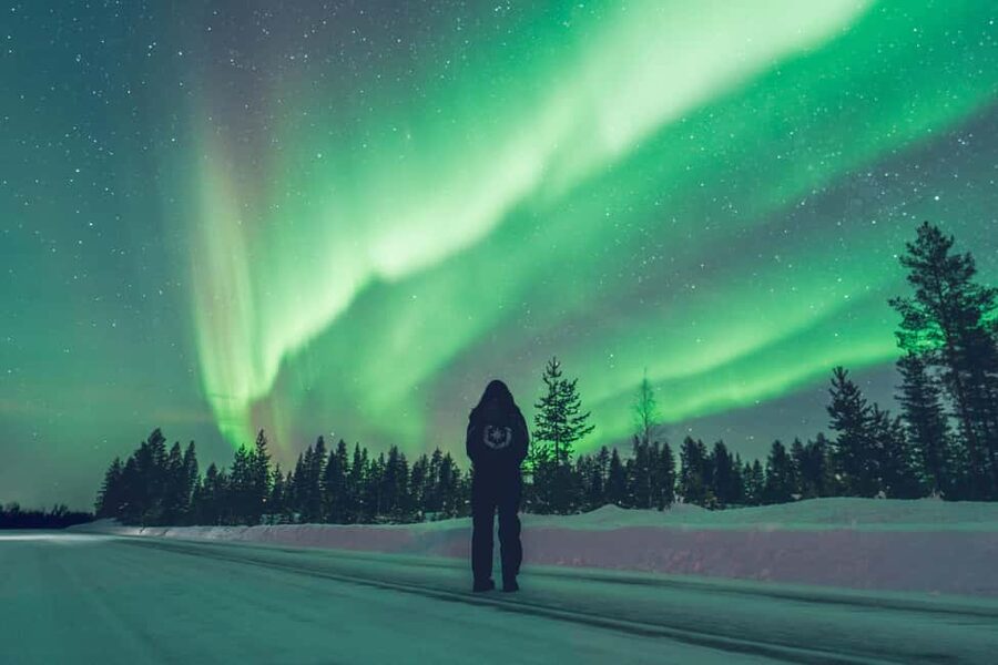 Rovaniemi: Best & Original Aurora Experience with Pro Photos - Price and value: what $128 buys beyond the aurora