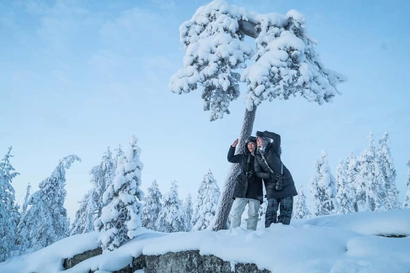 Rovaniemi City Photography Tour - Key highlights worth planning for