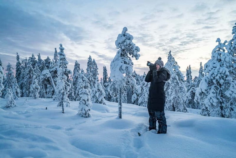 Rovaniemi City Photography Tour - How much is it, and is it worth $424 for your group?