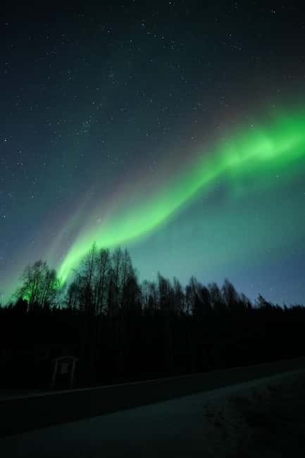 Rovaniemi: Coffee under Northern Lights & Professional Photo - Group Size, Languages, and How That Affects Your Experience
