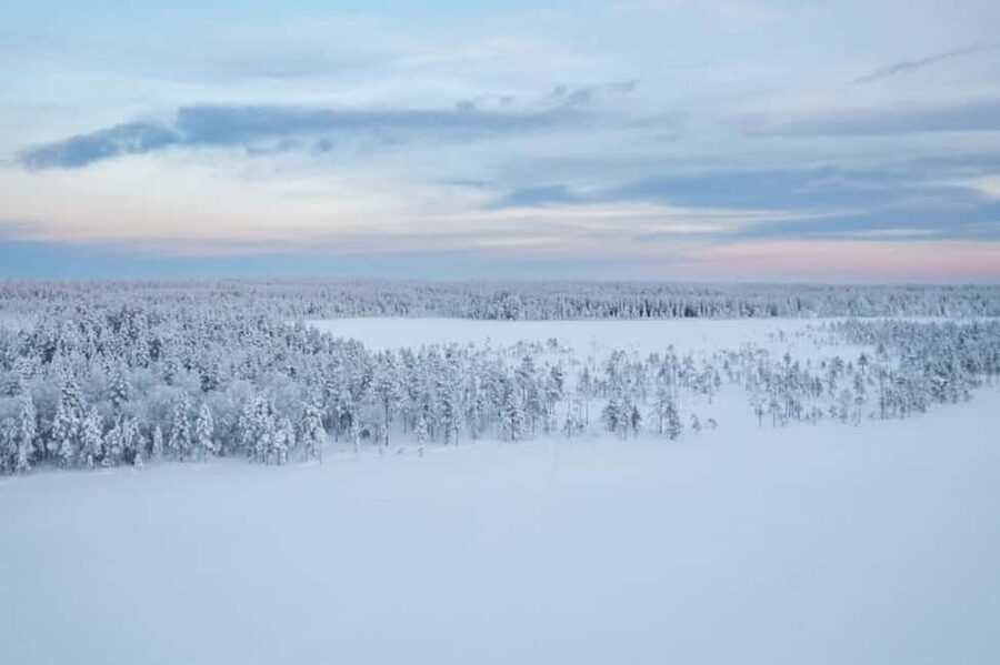 Rovaniemi: Cross-Country Skiing Adventure with Guide - Why cross-country skiing in Rovaniemi feels instantly doable