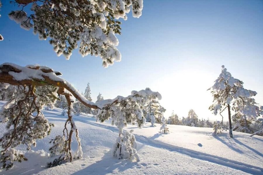 Rovaniemi: Cross-Country Skiing Adventure with Guide - Getting picked up near Santa Claus Village without losing your energy