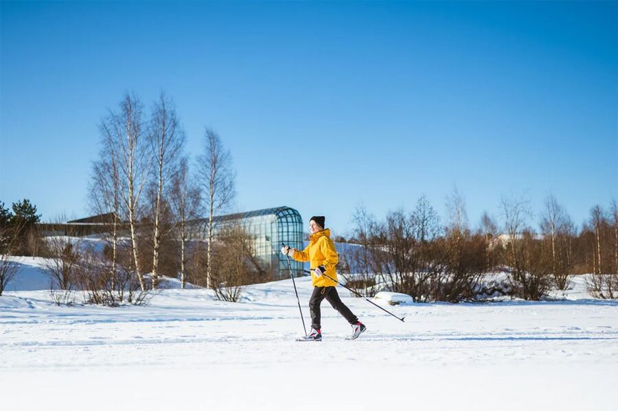 Rovaniemi: Cross Country Wilderness Ski Adventure - What You Really Do On This 3.5-Hour Cross-Country Ski Adventure
