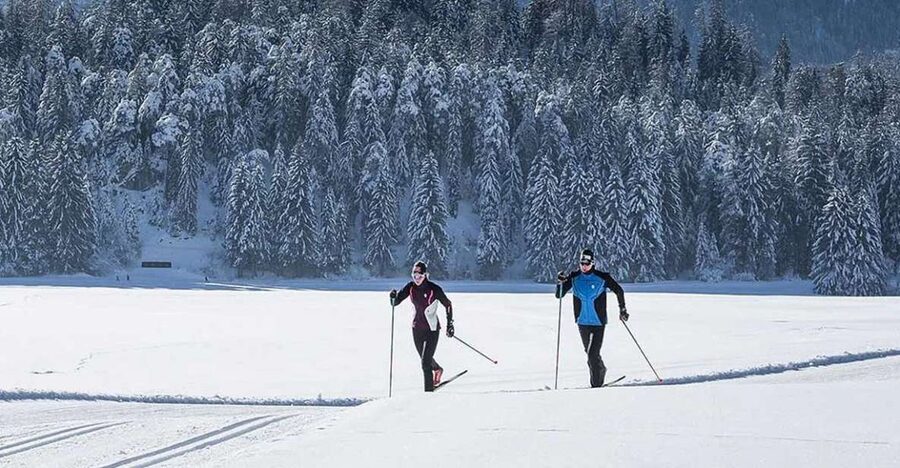Rovaniemi: Cross Country Wilderness Ski Adventure - Key Highlights That Matter in Real Life