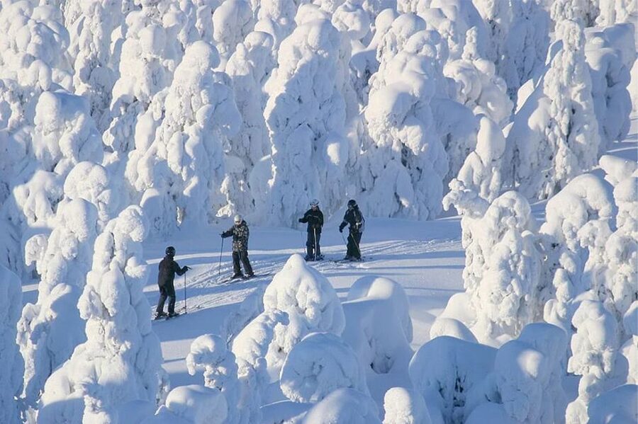 Rovaniemi: Cross Country Wilderness Ski Adventure - Getting There From Rovaniemi Center: Office Meet, Then Minivan Into the Snow