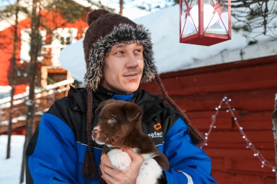 Rovaniemi: Daytime Husky Safari - Key Highlights