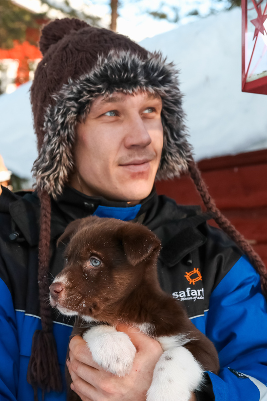 Rovaniemi: Daytime Husky Safari - Daytime Husky Mushing in Rovaniemi: Why This One Feels Special