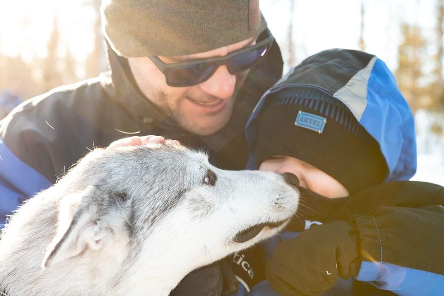 Rovaniemi: Daytime Husky Safari - The Ride Time That Actually Feels Like Mushing