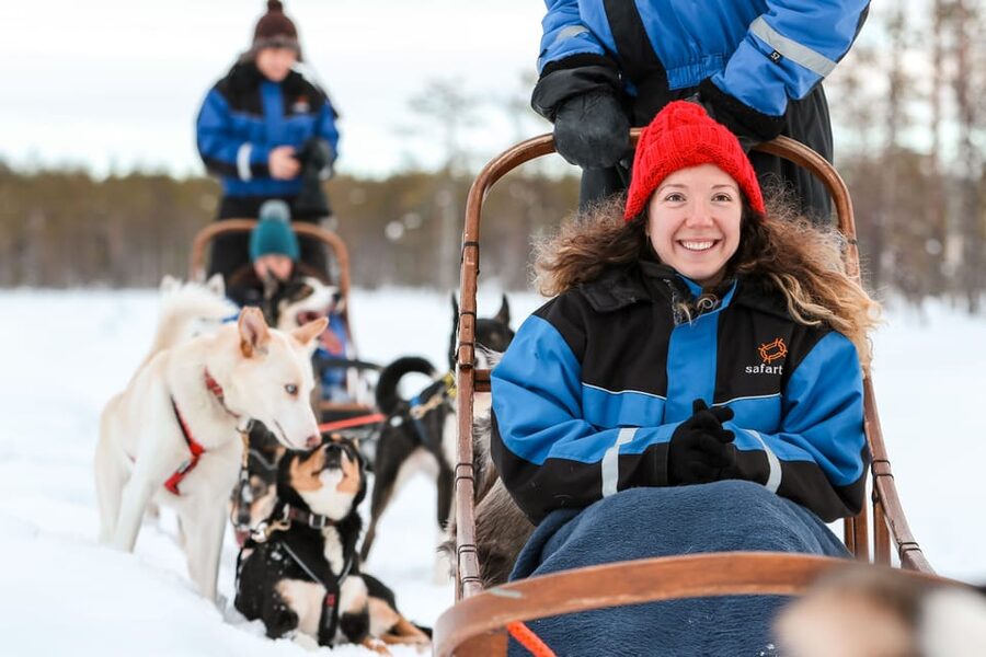 Rovaniemi: Daytime Husky Safari - Price and Value at About $209 per Person