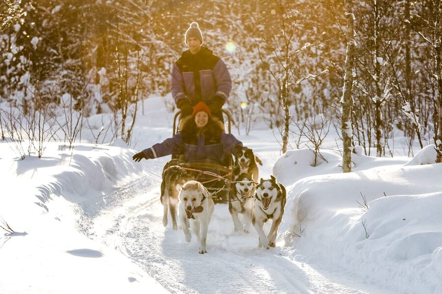 Rovaniemi: Daytime Husky Safari - From Resort Reception to Husky Kennel: The Start That Sets the Tone