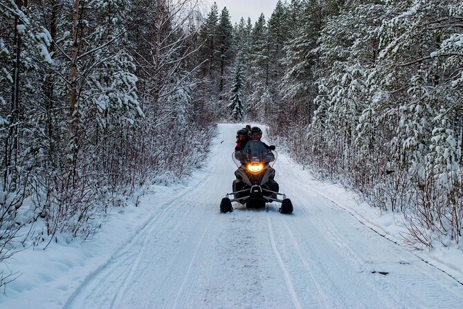Rovaniemi: Drive New 2025 Snowmobiles on Arctic Safari & BBQ - Gear Up Right: Thermal Overalls and Cold-Weather Reality