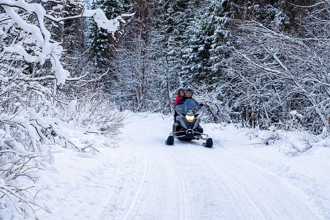 Rovaniemi: Drive New 2025 Snowmobiles on Arctic Safari & BBQ - Private Trails, Forest and Tundra: Where the Adventure Actually Happens