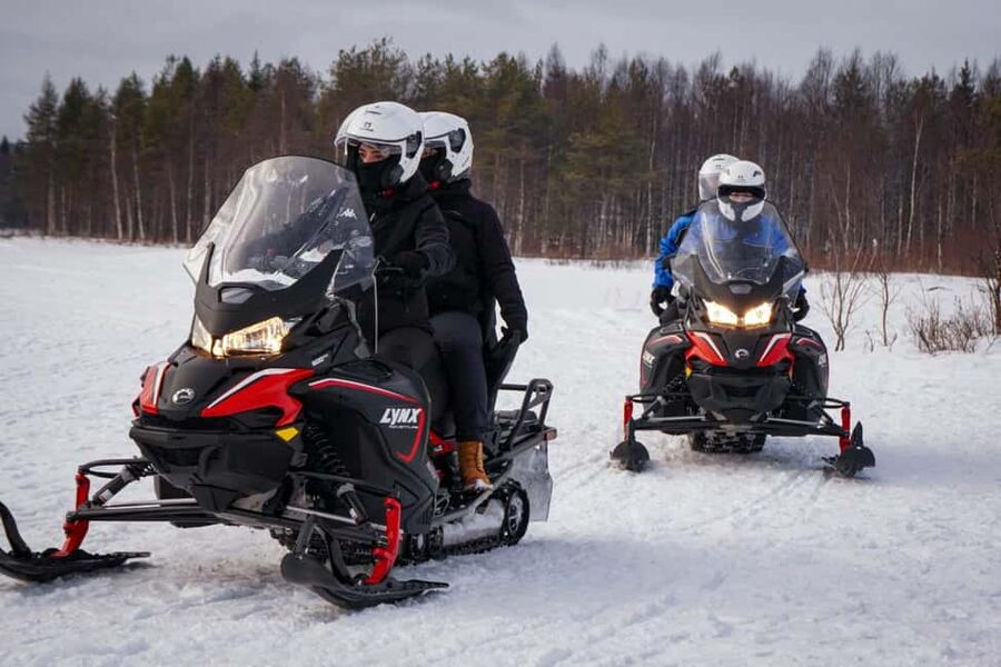 Rovaniemi: Drive New 2025 Snowmobiles on Arctic Safari & BBQ - Should You Book This Arctic Safari and BBQ?