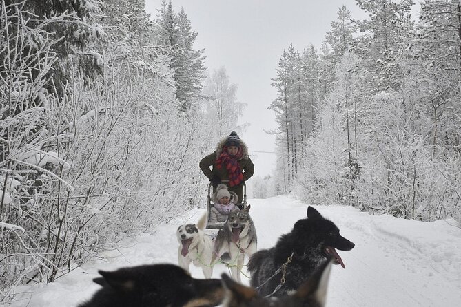 Rovaniemi: Drive Your Own Husky Team (6–10 km) & BBQ - The BBQ by the Fire, What the Warm-Up Actually Feels Like