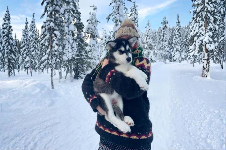 Rovaniemi: Drive Your Own Husky Team (6–10 km) & BBQ - Timing: The 5-Hour Label vs The Day You’ll Feel