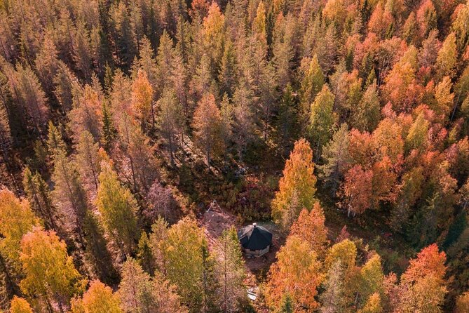 Rovaniemi: Drive Your Own Husky Team (Autumn) & BBQ - Autumn Huskies on Wheels: What the Cart Ride Really Feels Like