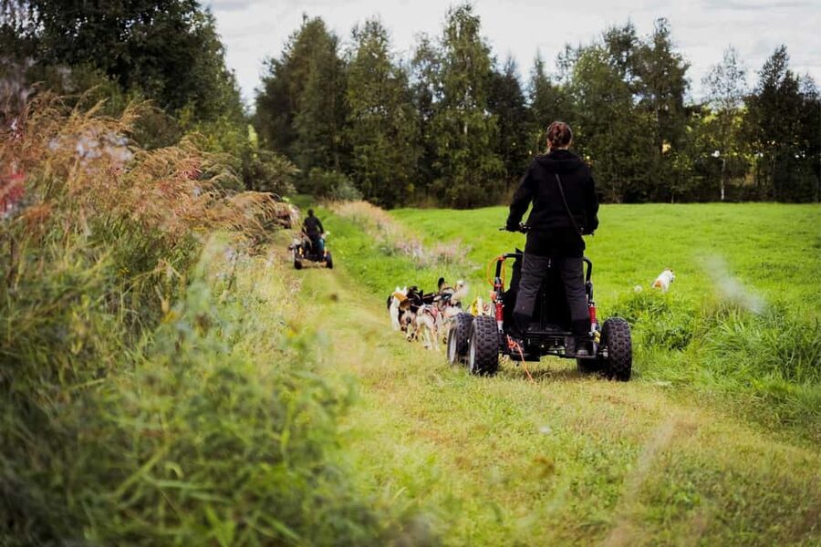 Rovaniemi: Drive Your Own Husky Team (Autumn) & BBQ - What to Bring, What to Avoid, and Who Should Skip This