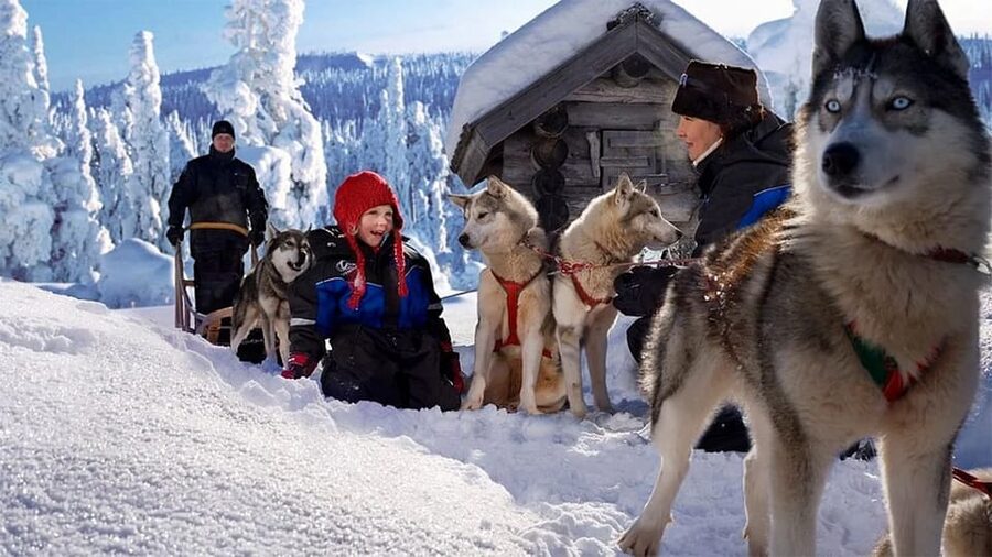 Rovaniemi: Family Friendly Husky Ride and Farm Visit - The Husky Sled Ride: 800m to 1km, Plus Real Snow Speed