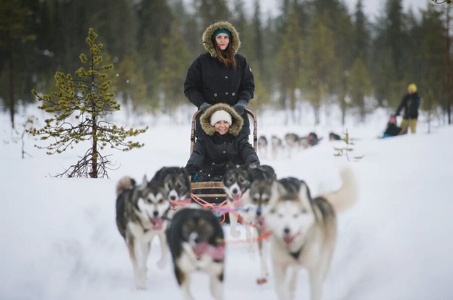Rovaniemi: Family Friendly Husky Ride and Farm Visit - After the Ride: Close-Up Husky Time for Photos and Cuddles