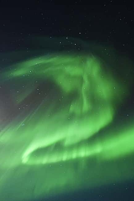 Rovaniemi: Family-Friendly Northern Lights Tour - Aurora photography tips that fit real smartphones and real cameras