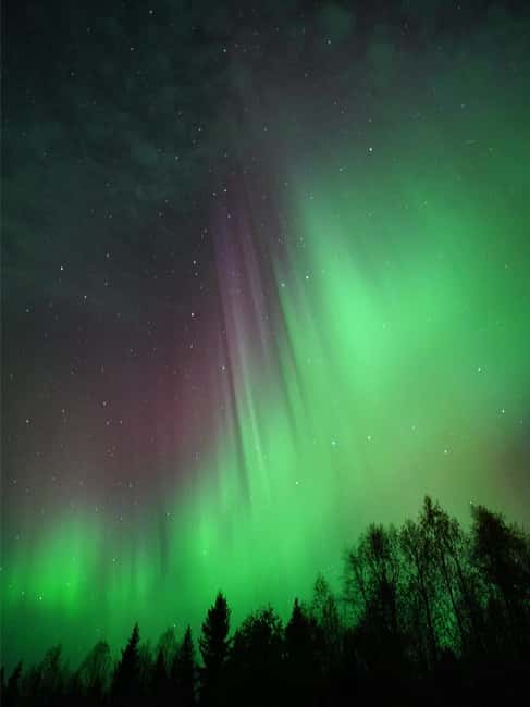 Rovaniemi: Family-Friendly Northern Lights Tour - Should you book this Northern Lights tour from Rovaniemi?