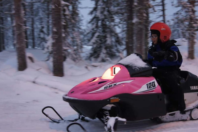 Rovaniemi: Family Snowmobile Safari - Rovaniemi Family Snowmobile Safari, The Real Point of It