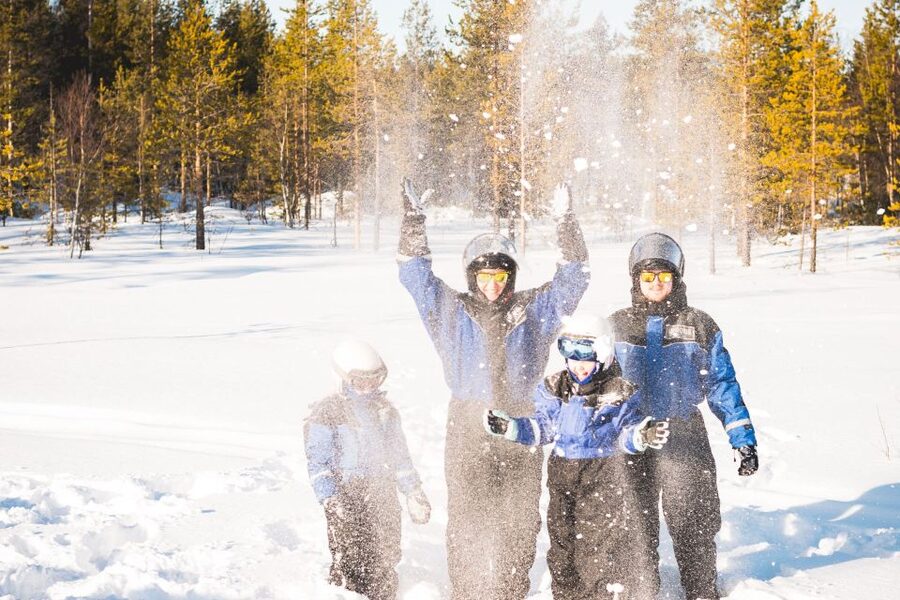 Rovaniemi: Family Snowmobile Safari with Campfire and Snacks - Who Should Book This, and Who Might Want a Different Plan