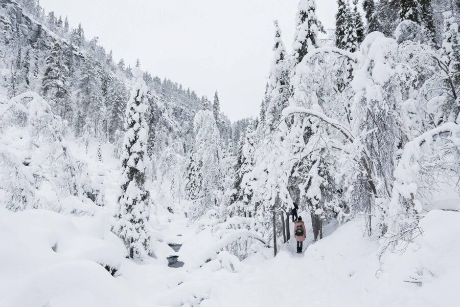 Rovaniemi: Frozen Waterfalls of Korouoma Canyon & Pro Photos - The guided hike: 5 km of icy footing, big views, and photo timing