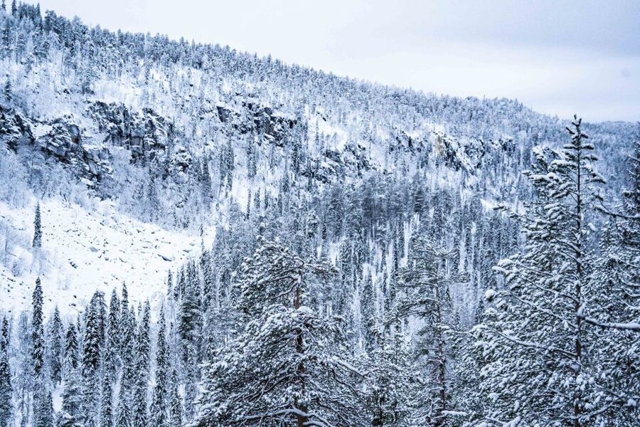 Rovaniemi: Frozen Waterfalls of Korouoma Canyon & Pro Photos - Campfire BBQ lunch in a lean-to: warm food after real effort