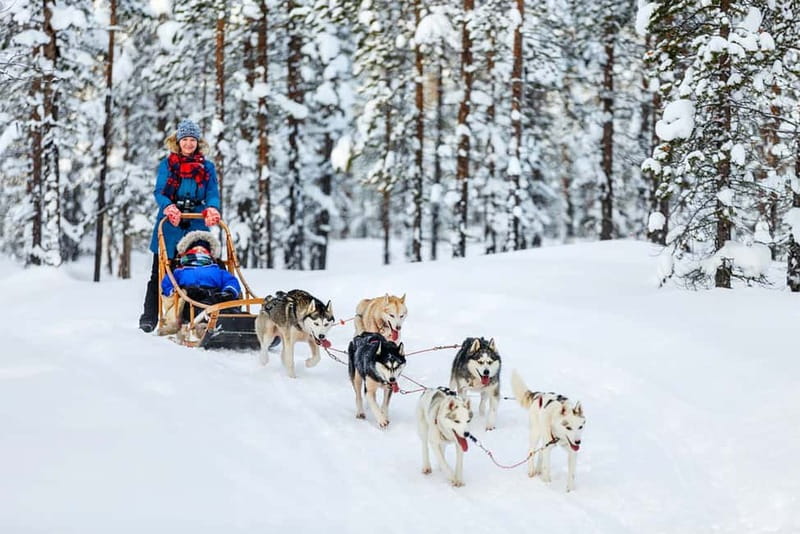 Rovaniemi: Full-Day Highlights Tour with Buffet Lunch - Arktikum museum: where the Arctic story gets real