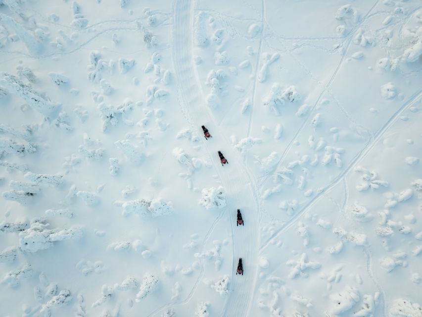 Rovaniemi: Full-Day Snowmobile Safari into the Wilderness - Key points before you book