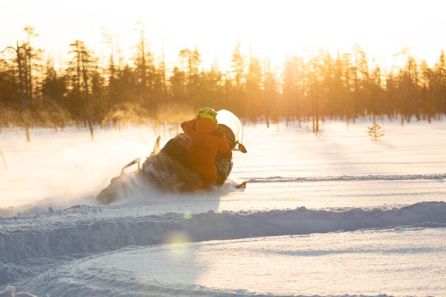 Rovaniemi: Full-Day Snowmobile Safari into the Wilderness - Who this Rovaniemi snowmobile safari is perfect for