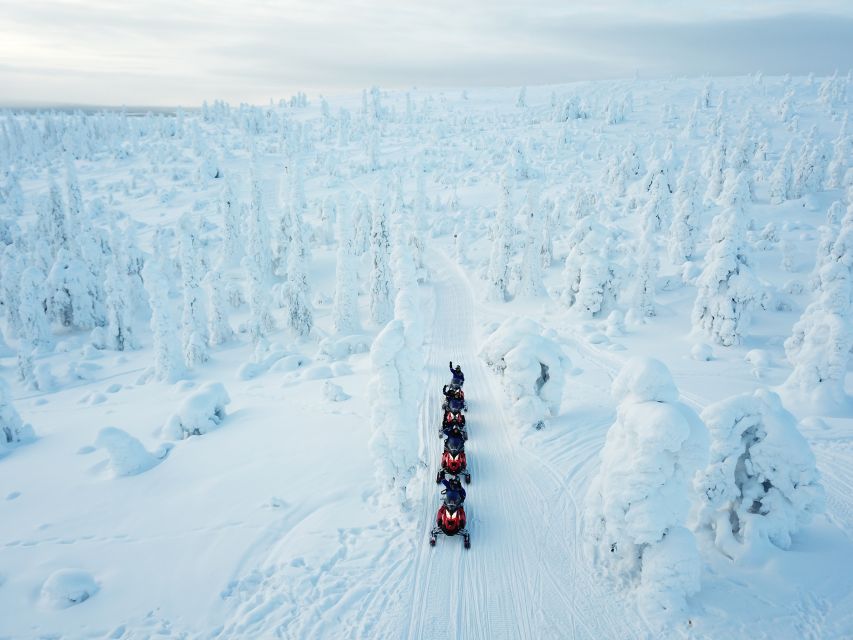 Rovaniemi: Full-Day Snowmobile Safari into the Wilderness - Meeting at Safartica and getting geared up fast