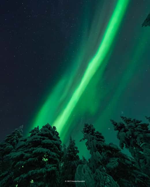 Rovaniemi: Genuine Aurora Hunting with Unlimited Pro Photos - Comfort and clothing: warm layers, rentals, and restroom reality