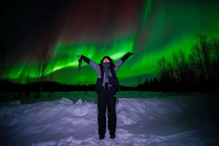 Rovaniemi: Guaranteed Aurora Hunt with Local Guides & Photos - Real-time aurora planning: space weather, satellites, and a border option