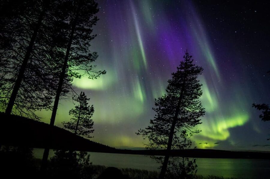 Rovaniemi: Guaranteed Aurora Hunting Tour with Local Guide - What to Expect at Each Stop, and Where It Might Feel Tight