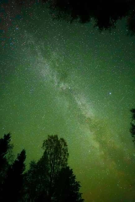 Rovaniemi: Guaranteed Aurora Hunting Tour with Photos&Videos - Staying warm in Lapland: thermal cloak, campfire BBQ, and hot-drink strategy