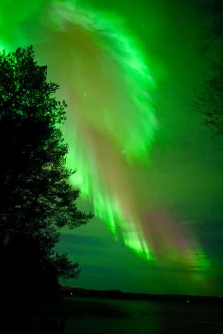 Rovaniemi: Guaranteed Aurora Hunting Tour with Photos&Videos - Who this tour suits best, and who might not love it