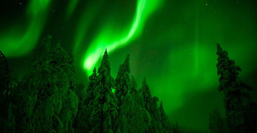 Rovaniemi: Guaranteed Northern Lights Hunting Adventure - Key Points Before You Go