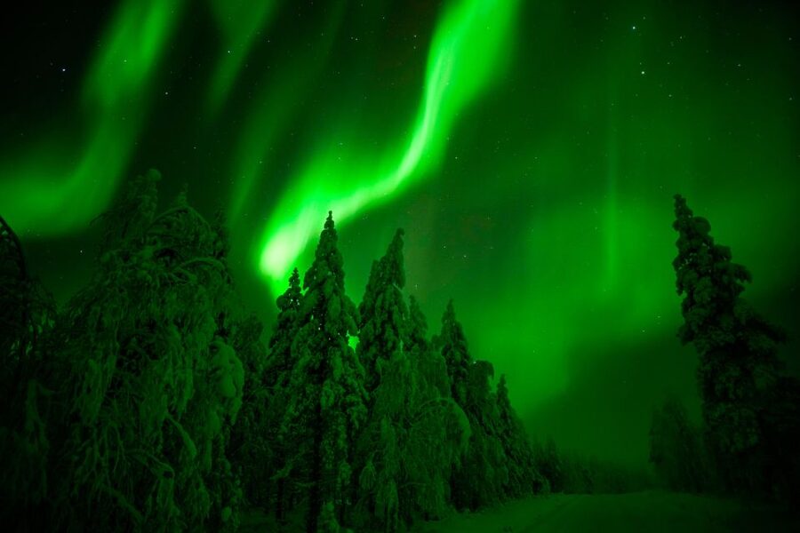 Rovaniemi: Guaranteed Northern Lights Hunting Adventure - Guaranteed Northern Lights Style, Plus the Honest Reality of Clouds