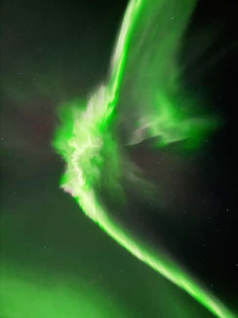 Rovaniemi: Guaranteed Northern Lights & Photography Tour - Aurora Photography Help: Getting a Shot, Not Just Staring