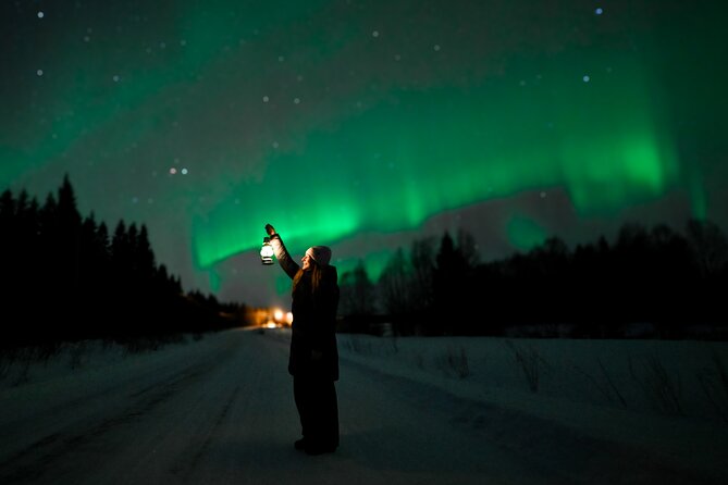 Rovaniemi: Guaranteed Northern Lights - Small Group & Photography - What the evening looks like, from the first pickup to the final drop-off