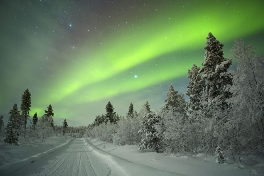 Rovaniemi: Guided Northern Lights Tour - Price and value: why $84 can make sense here