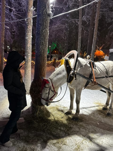 Rovaniemi: Guided Tour of Santa Claus Village - Meeting at the Arctic Circle Information Hall (The Start That Saves You)